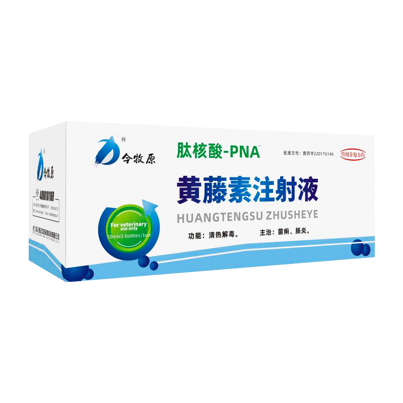 黄藤素注射液.png